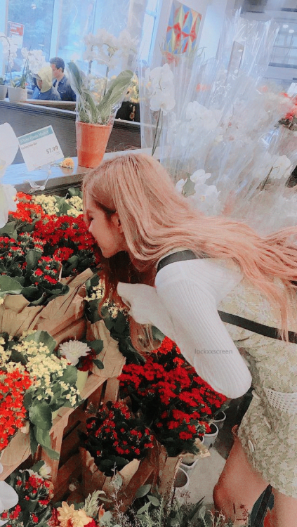 lockxxscreen: blackpink simple• like or reblog if you save• open a image for better qualit