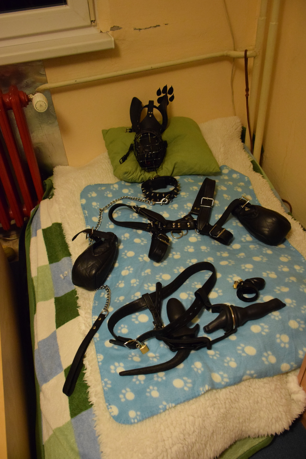 misterb-amsterdam:  WoofWoof! got to love a Pup and his gear.