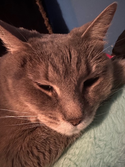 Good Morning (Nyla Wants To Sleep In).