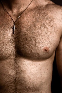 Hairy Gay Men