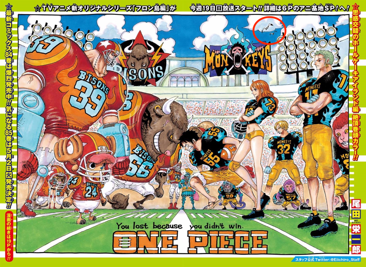 Nami Is The Queen Something I Ve Noticed About The Seagulls In One Nami Is The Queen Something I Ve Noticed About The Seagulls In One