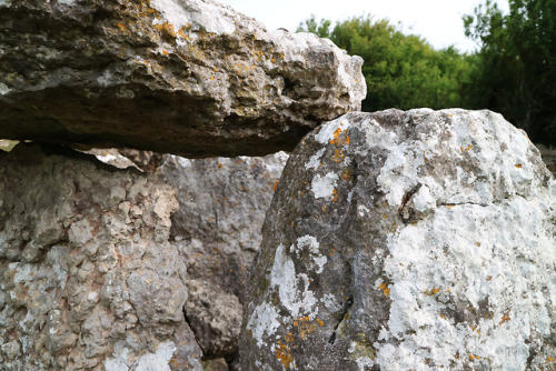 Llety’r Filiast Prehistoric Burial Chamber, Great Orme, Llandudno, North Wales, 28.8.18.Situated clo