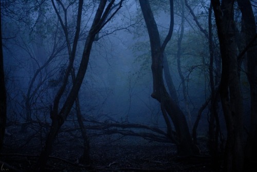 buron:Brume Fluorescent (vii) by BuronLimited edition print available here