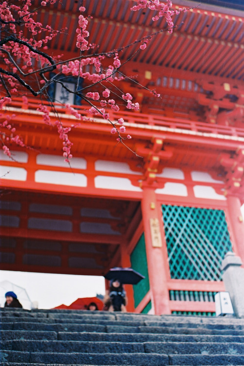 fluoric: Kiyomizu Temple (by a l e x . k)