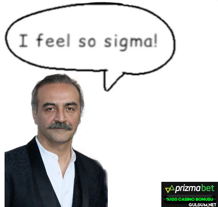 I feel so sigma! Aprizma...