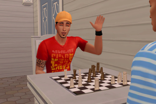 pausesims
