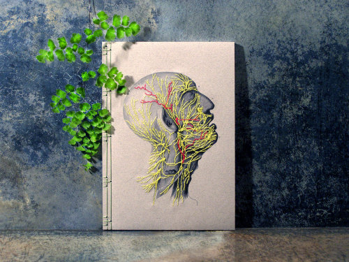 wordsnquotes: Japanese Paper Embroidery Notebooks Hold Vintage Science Illustrations Get their notebooks now! Read our review here. 