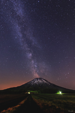 captvinvanity:  Starry Sky   | Photographer