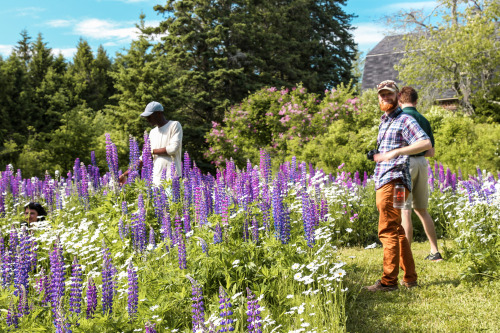 Summer 2021 Internship OpportunitiesThe Olmsted Center for Landscape Preservation (OCLP) has announc