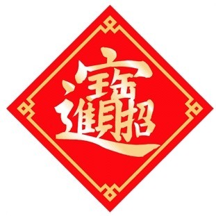 Dragon Tiger YinYang trigrams Taoist Robe Religious ceremonies Suit Talisma#5084 
