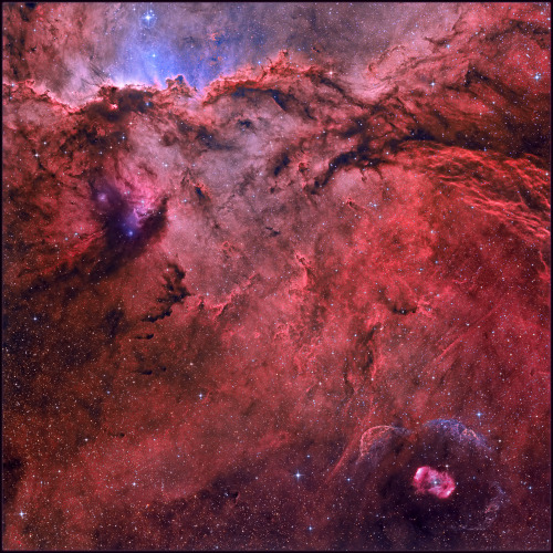 fuckyeahnebulas - NGC 6188 & NGC 6164 