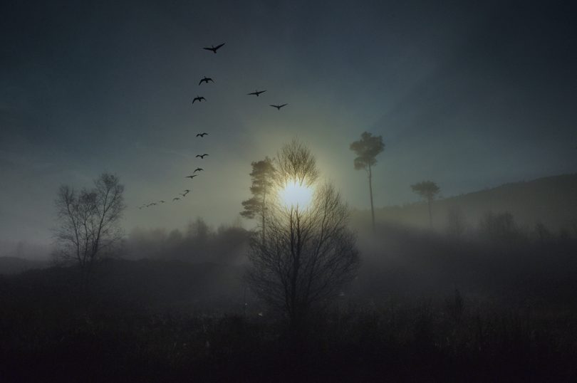 joannechocolat:
“It’s been a funny old year, hasn’t it? Tough in so many ways, and for so many people around the world, that my own small concerns and stresses seem almost insignificant. But here’s the thing. We all feel this way. We all feel a...