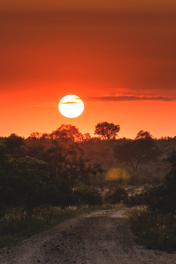 randompic:  wavemotions:  Sunrise over Sabi