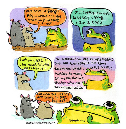 sketchshark: Here are the first few comics from a series I’ve started making about a regular toad.