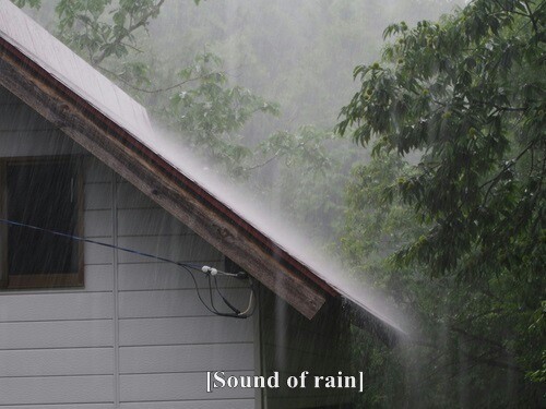 blood-n-shit-universe:  My favourite.