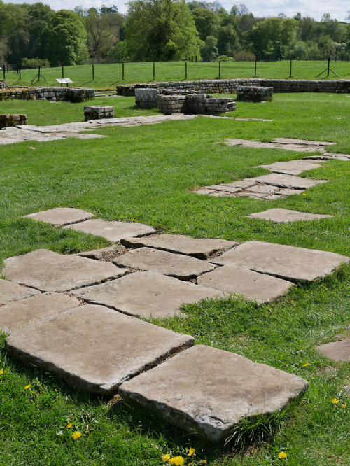 Central Hall, Shrine and Courtyard, Chesters Roman Fort, Hadrian’s Wall, Northumberland, 13.5.18.Thi