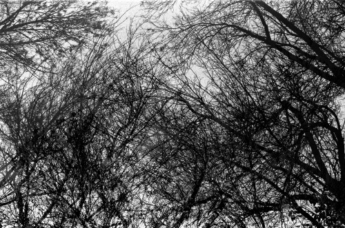 Analog multiple exposure.Camera: Canon EOS 500Film: Ilford HP5 400denisbodnar.cam/