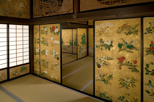 nae-design:  The Hanamaru-zu mural of 201 flowers decorates the walls of Kotohira-gu Shrine (金刀比羅宮) painted over 300 years ago by Ito Jakuchu (伊藤若冲, 1716-1800). His unusual scientific style depicts the flowers in a grid layout with lifelike