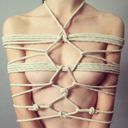 getnakedwhileyourestillpretty:  Another pretty victim. Client! I mean client. #rope #bondage #shibari 