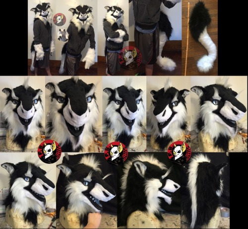 Sergal partial for sale! Asking $750 but will haggle a LITTLE. More info on it here: https://www.fur