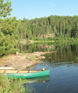 scent-of-pine: Photos taken on Pickerel Lake in Quetico Provincial Park 