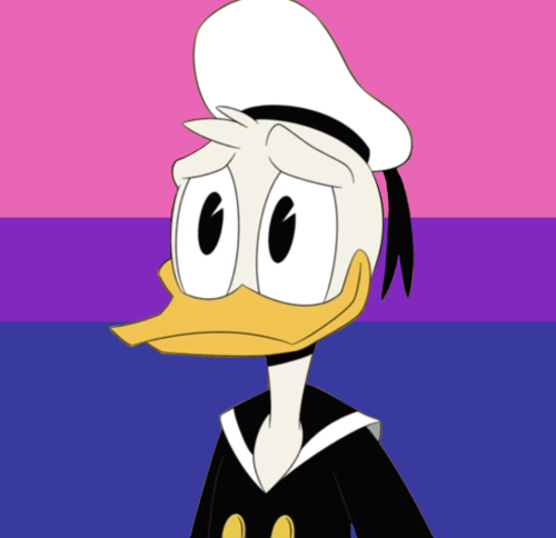 transdarkwingduck:ive had requests for gay and bi donald icons sitting in my inbox for ages lol bett