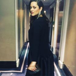 Lovely Marion Cotillard: Photo