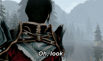 apricottartlet:  Hawke appreciating the scenery 