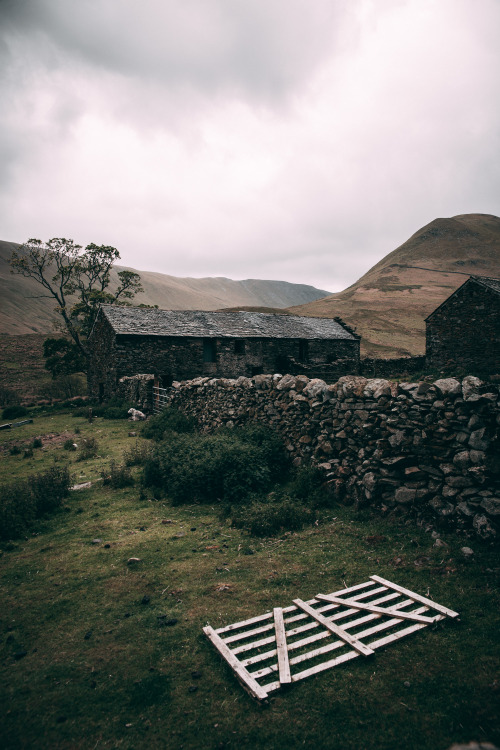 Sheep Farm, CumbriaPhotographed by Freddie Ardley - Instagram @freddieardley