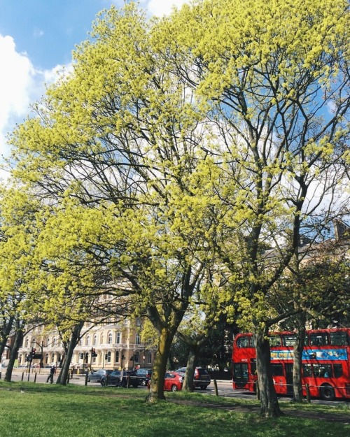 Clapham common (at Clapham Common)