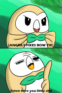 ikariradio:  Rowlet truly is the best. 