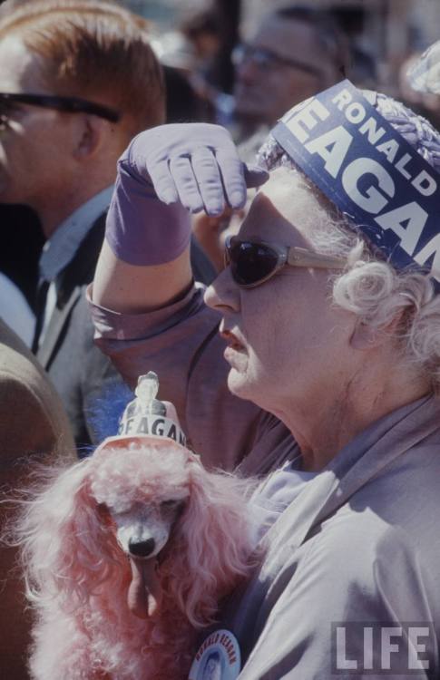 Reagan supporters(Bill Ray. 1966)