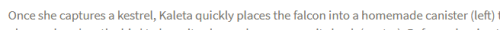 Reading About Tracking Kestrel Populations Rn And
