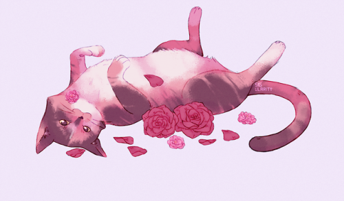 sig-ularity: Some cute cats with flowers that I did for practice.