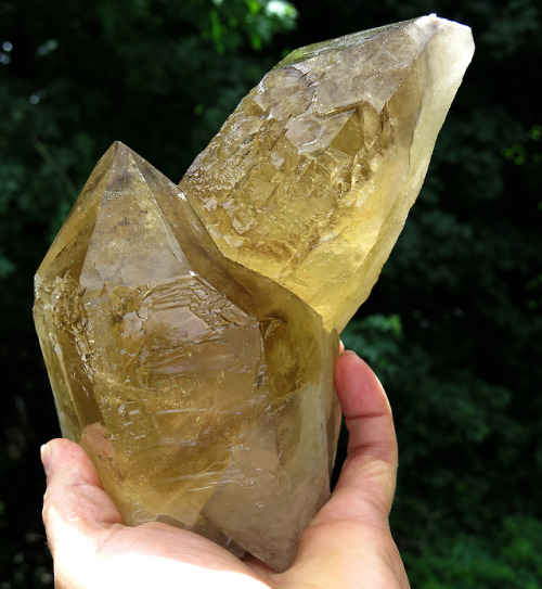 ghminerals: 5 pound twin crystal Natural Gem Citrine Floater. Mined Piaui Valley mine MG Brazil