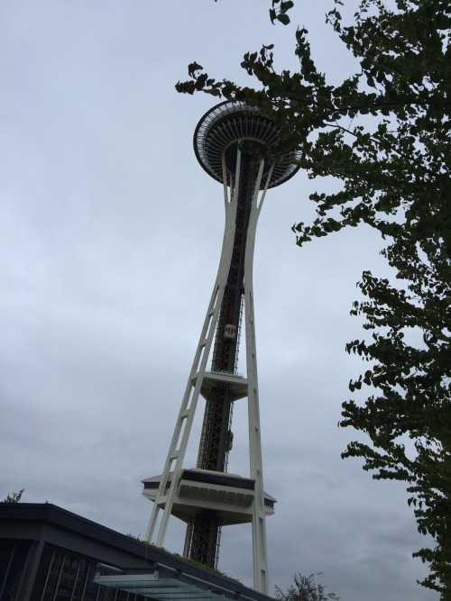 July in Seattle… 65 and cloudy