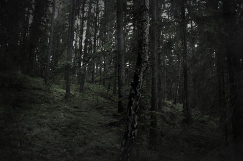 heathenharnow: Där långa skuggor ruva, Part III III© Heathen Harnow -