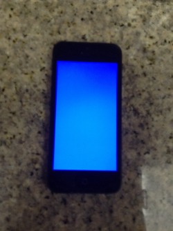 I spilled iced tea on my phone and let it sit in rice for 24 hours. I turned it on and it&rsquo;s just a blue screen. Is there hope or is my phone dunzo?