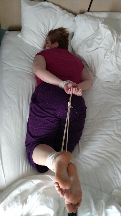 thenoblehound:  Bunny’s very first hogtie!