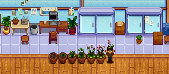 A screenshot from Stardew Valley, which shows the player standing in a large greenhouse. Pots next to them hold a modded crop that looks somewhat like a dandelion.