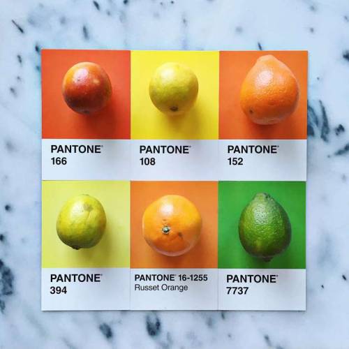 art-tension:Pantone Food – Turning colorful ingredients into appetizing Pantone colors With her