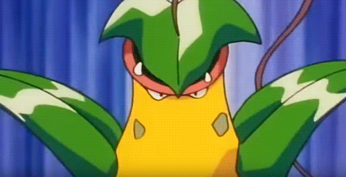 tumblr_o4teddYd281tgjlm2o1_r1_500.gif