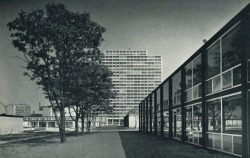 Shari-Vari:  Mies Van Der Rohe, Lafayette Park Housing Project, Detroit (1959)  