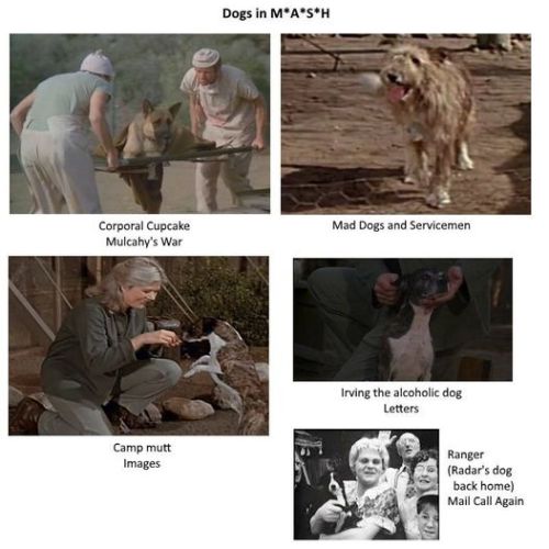 The animals of the 4077 M*A*S*H! Did I forget any? If so, add more to the post. I’d love to see. 