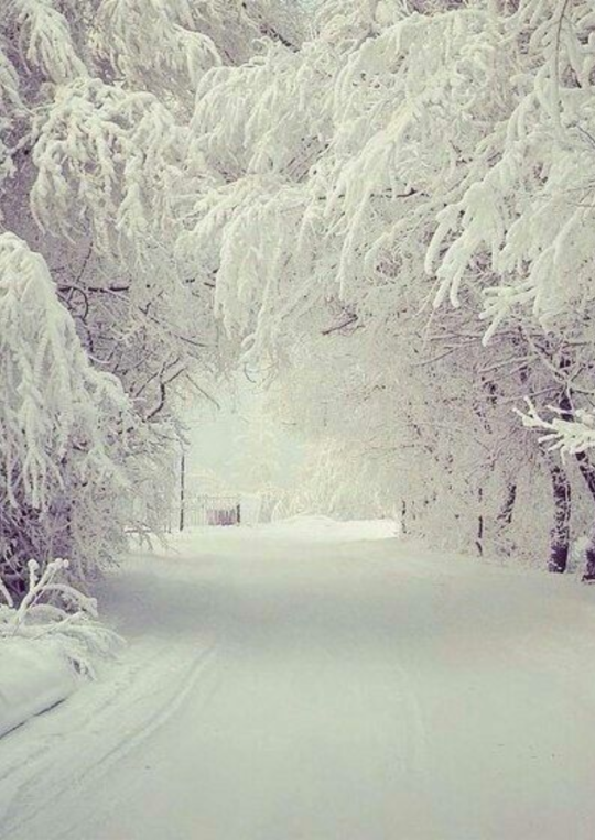 sassyfantasy2:nostalgicamerica:Love winter!!! Looks like a snowmobile trail in the