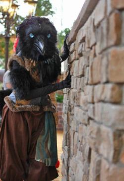 nambroth:  Qaw the Raven This is not my costume! I am posting this because I had a hand in making it, and I had the honor of getting some photos of the completed thing. This year at RMFC I took a real camera with me for the first time to a con. I’m