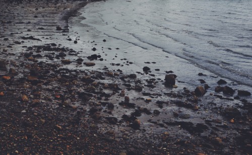 Shoreline in Salem, MA