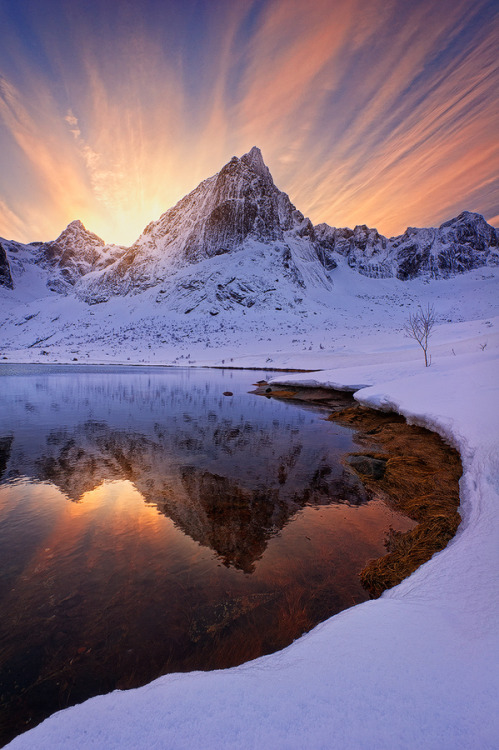 sublim-ature:Barf Peak by Miles MorganLofoten Islands, Norway
