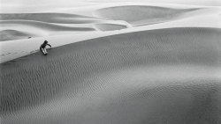 adanvc:  Peruvian Desert. by Daphne Dougall