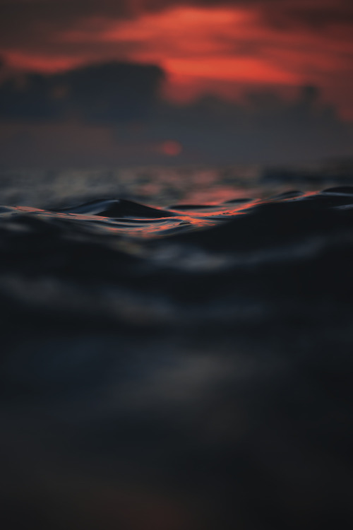motivationsforlife:Untitled by Javardh